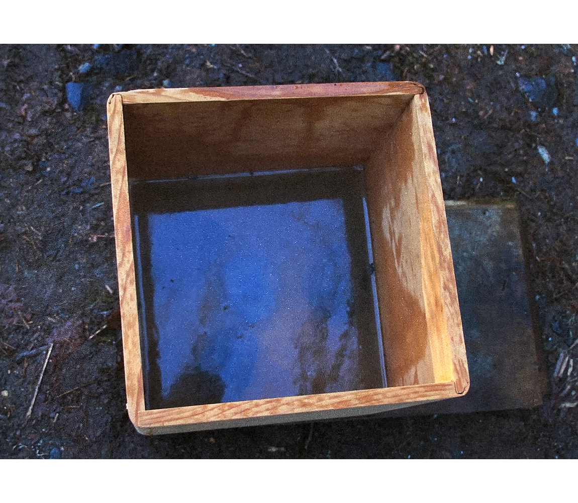 Old Eagle Box Bentwood Cedar Box - David Stephens